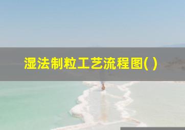 湿法制粒工艺流程图( )